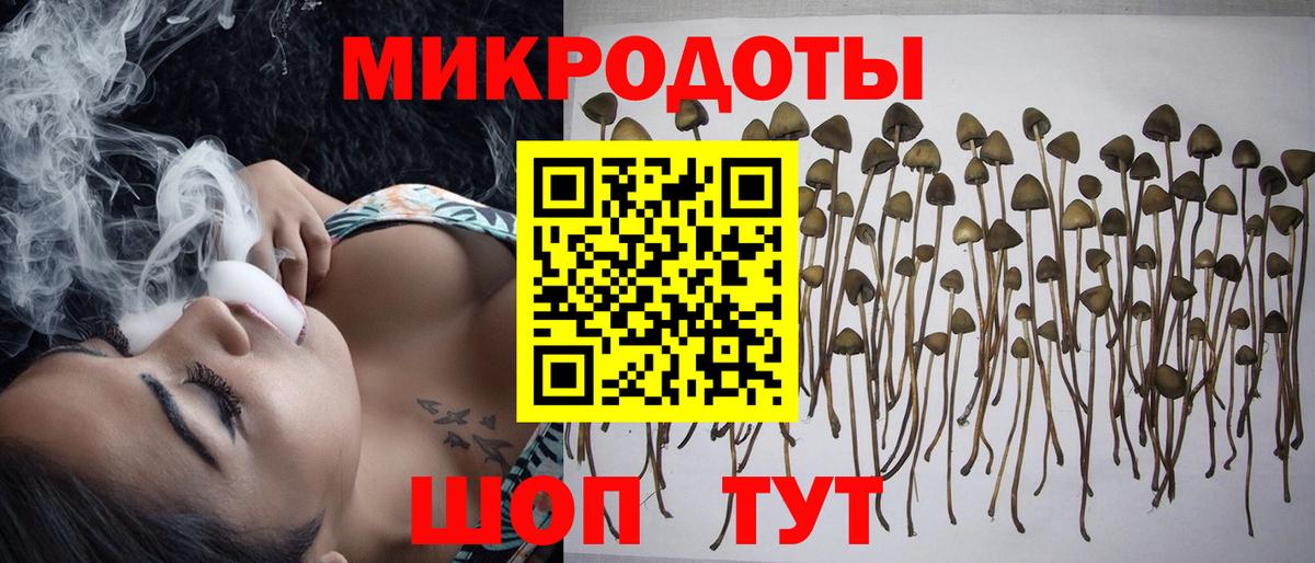 Галлюциногенные грибы прущие грибы Орехово-Зуево